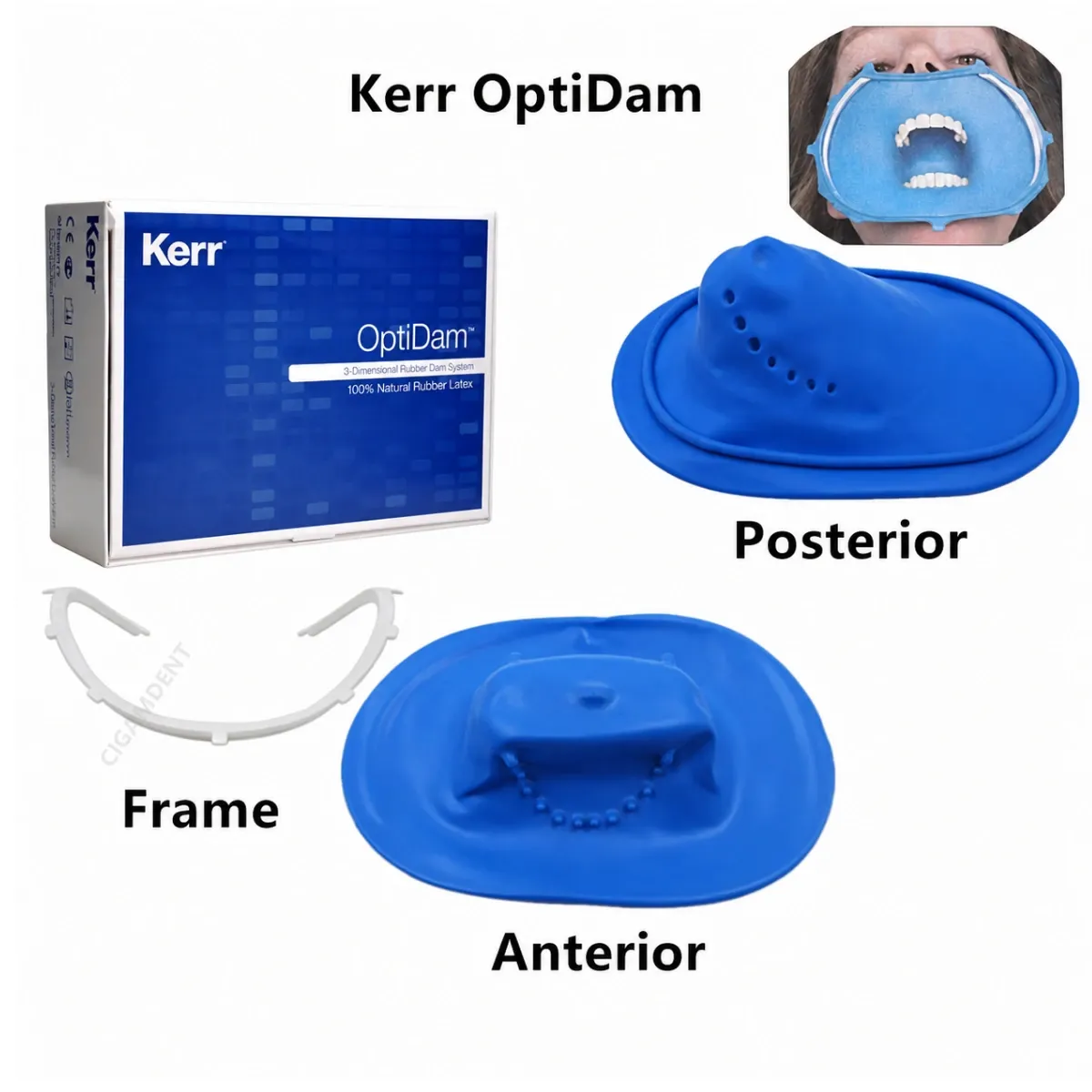 OptiDam